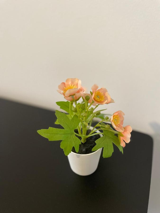Mr Ferienwohnung - Wohnung Emma Schellerten 外观 照片